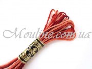 Мулине ДМС меланж 069